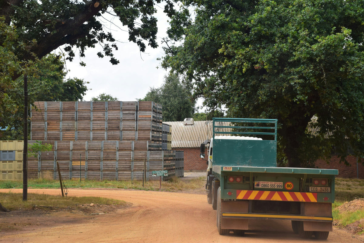 Freight documents explained: Bill of Lading, release and the clearing agent's role