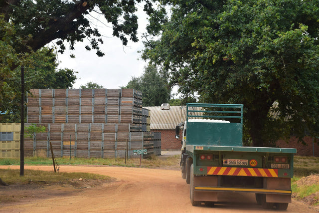 Freight documents explained: Bill of Lading, release and the clearing agent's role